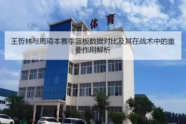 王哲林与周琦本赛季篮板数据对比及其在战术中的重要作用解析